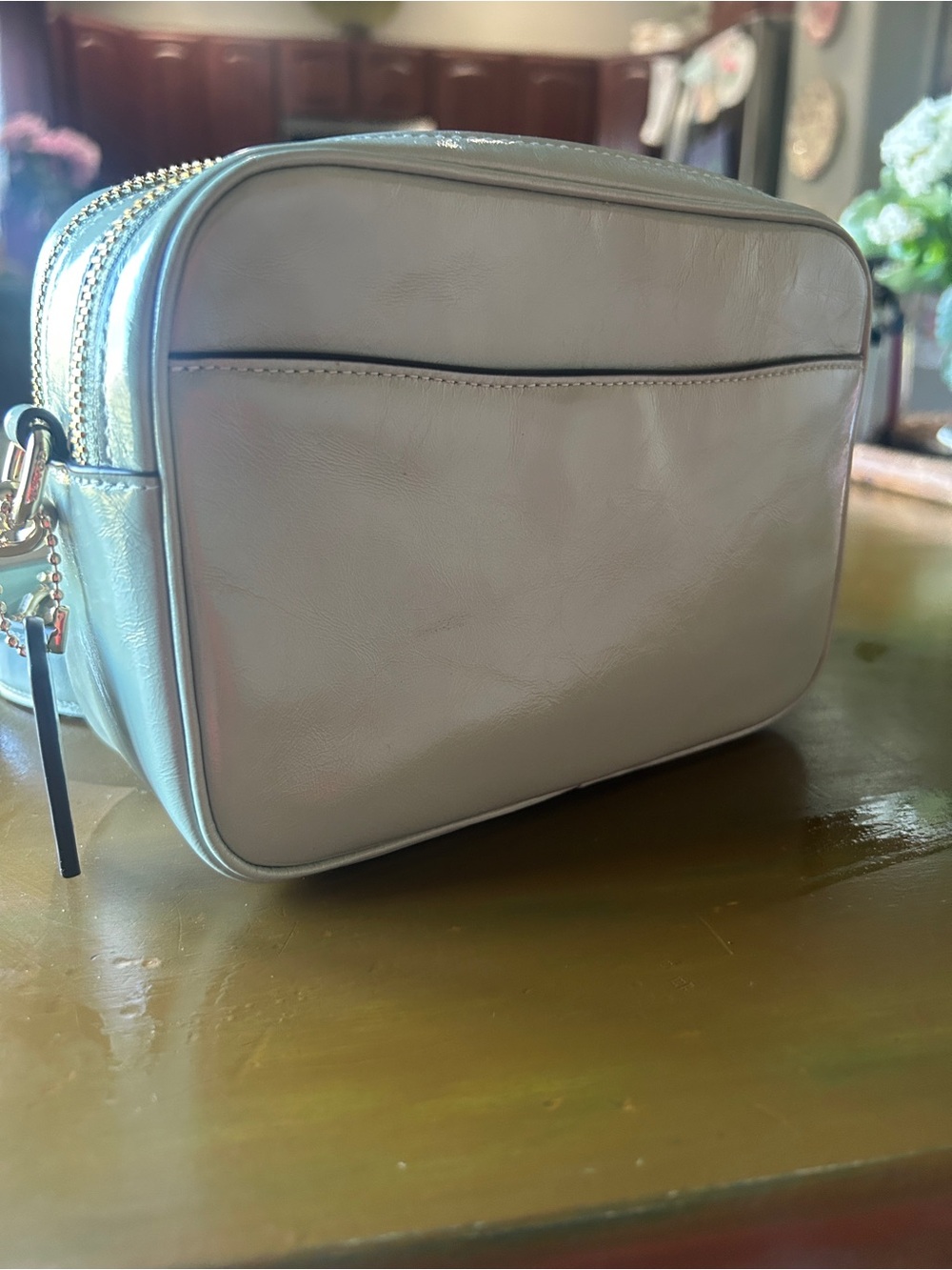 NWT Coach Mini Carey Crossbody Bag Gold/Light Pistachio - Picture 4 of 9